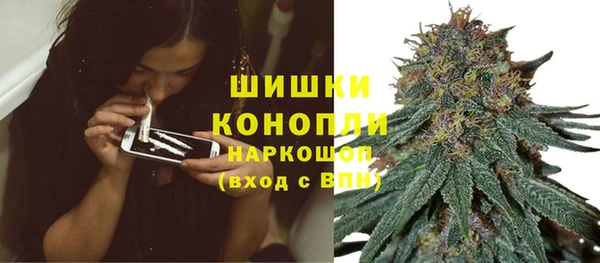 Альфа ПВП Елабуга